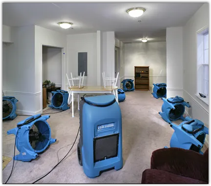 Water Mitigation Services in Shelby, MI